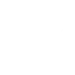 ysy