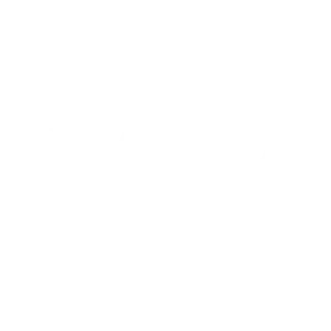 ysy