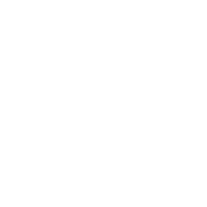 guacamayo